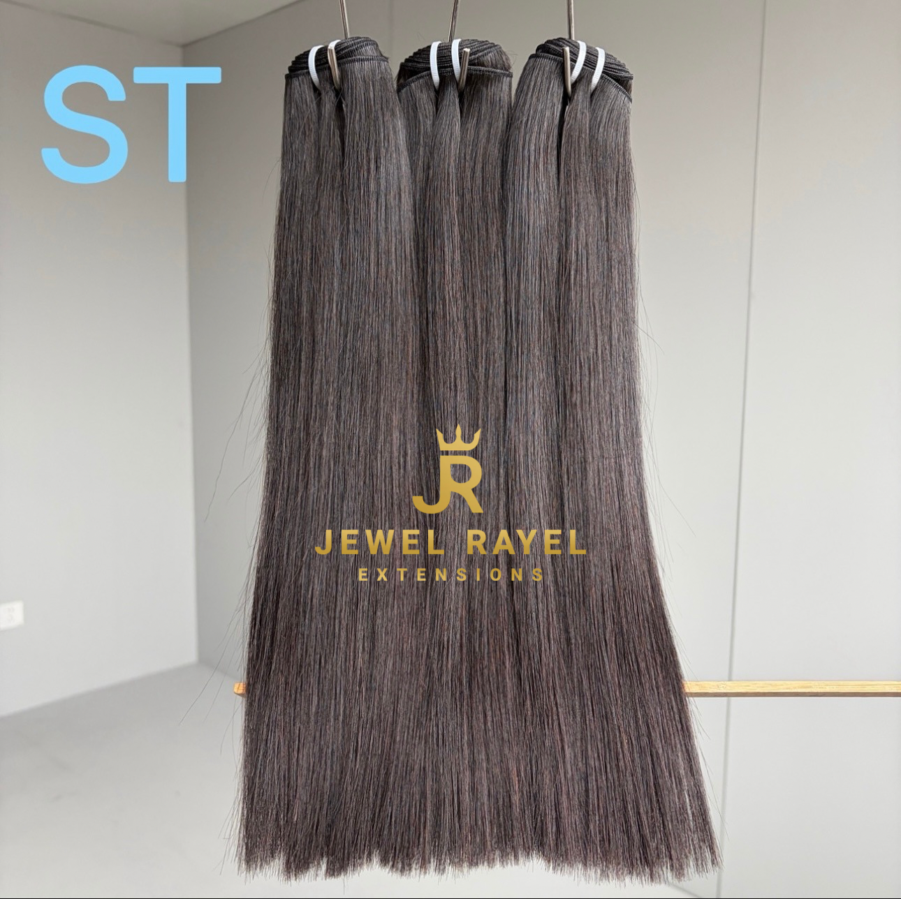 BURMESE 6 BUNDLE DEAL